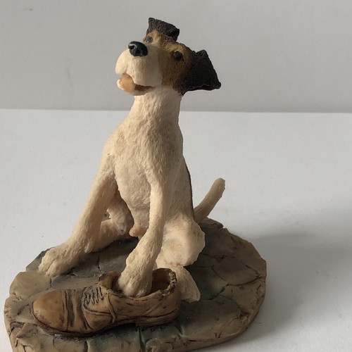Jack russell puppy dog with - russell,