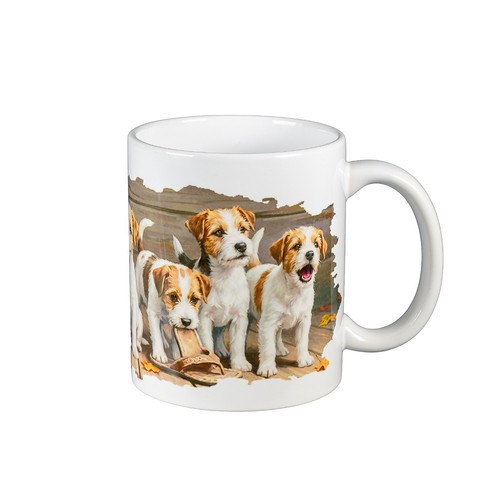 Jack russell terrier puppies - terrier,