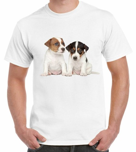 Jack russell terrier puppies - russell,