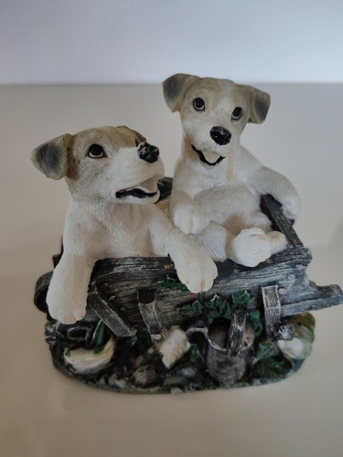 Jack russell terrier puppies - jack,