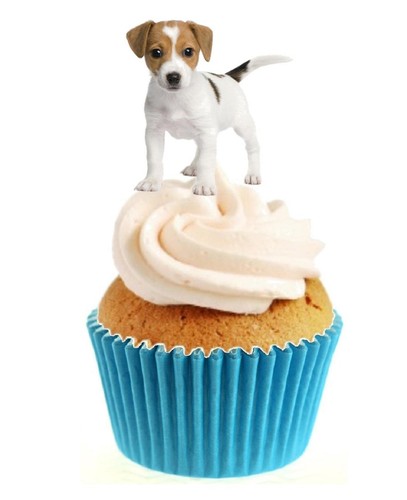 Novelty cute jack - novelty,