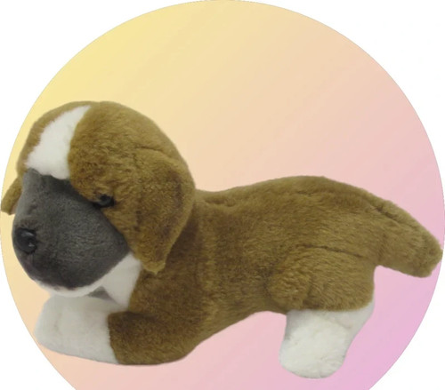 Jack russell terrior beagle - terrior,