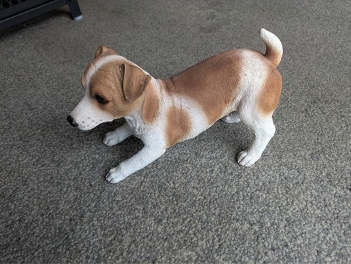 Hotant jack russell terrier - russell,
