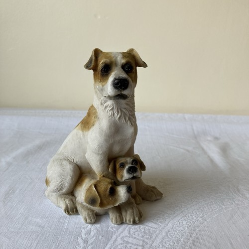Jack russell terrier - russell, &