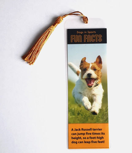 Bookmark jack russell terrier - russell,