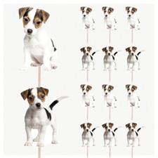 Jack Russell Puppies Cupcake &