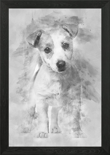 Jack russell puppy month - russell,