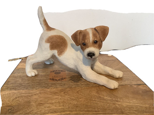 Jack russell terrier puppy - russell,