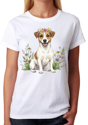 Jack russell terrier dog - russell,