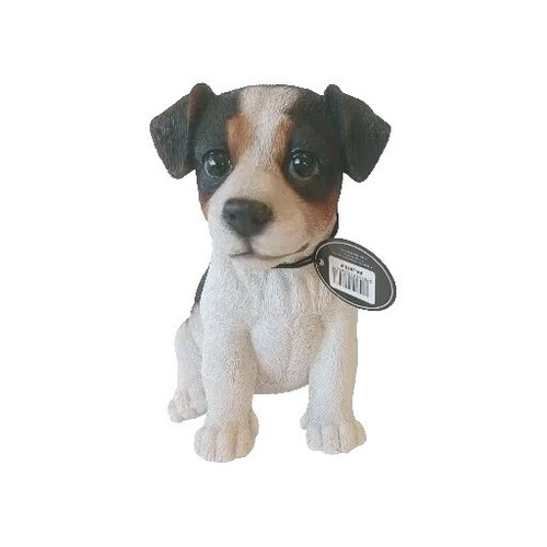 Tricolour jack russell dog - russell,
