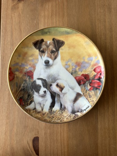 Danbury mint puppies - mint, and