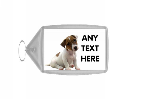 Jack russell puppy - jack,