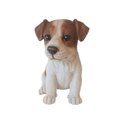 Jack russell puppy pet pal - pet,
