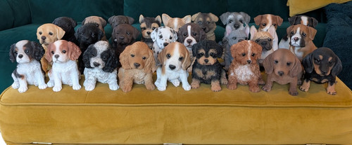 Puppy home garden ornament - puppy,