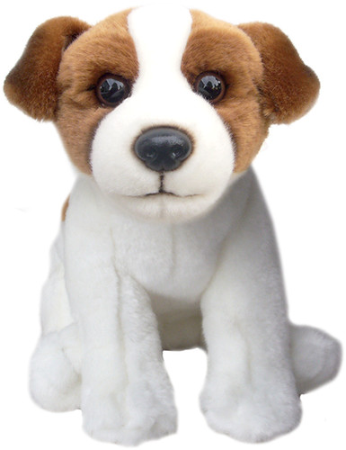 Jack russell plush - jack, toy